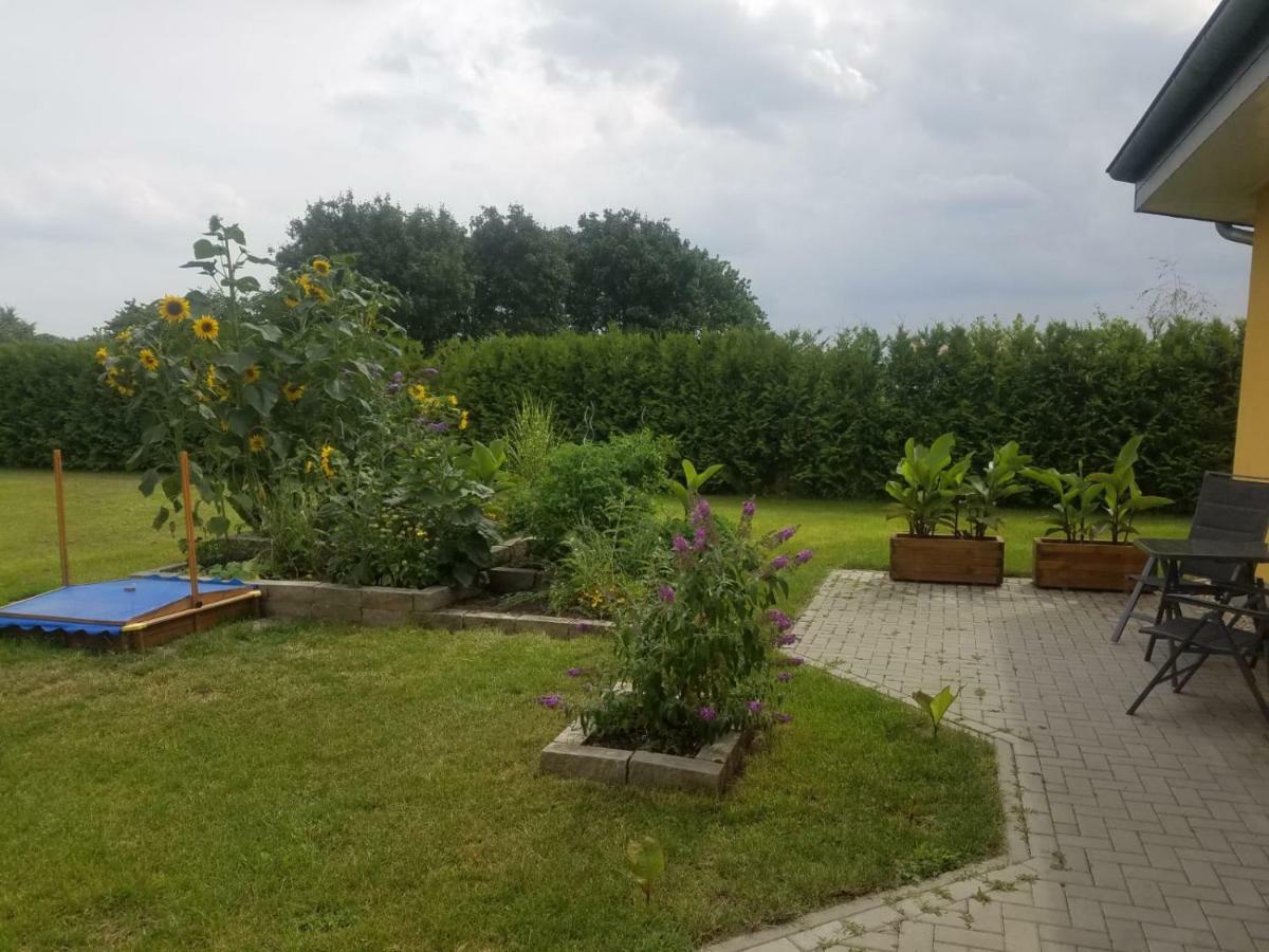 Ferienhaus Zum Imker فيلتين المظهر الخارجي الصورة