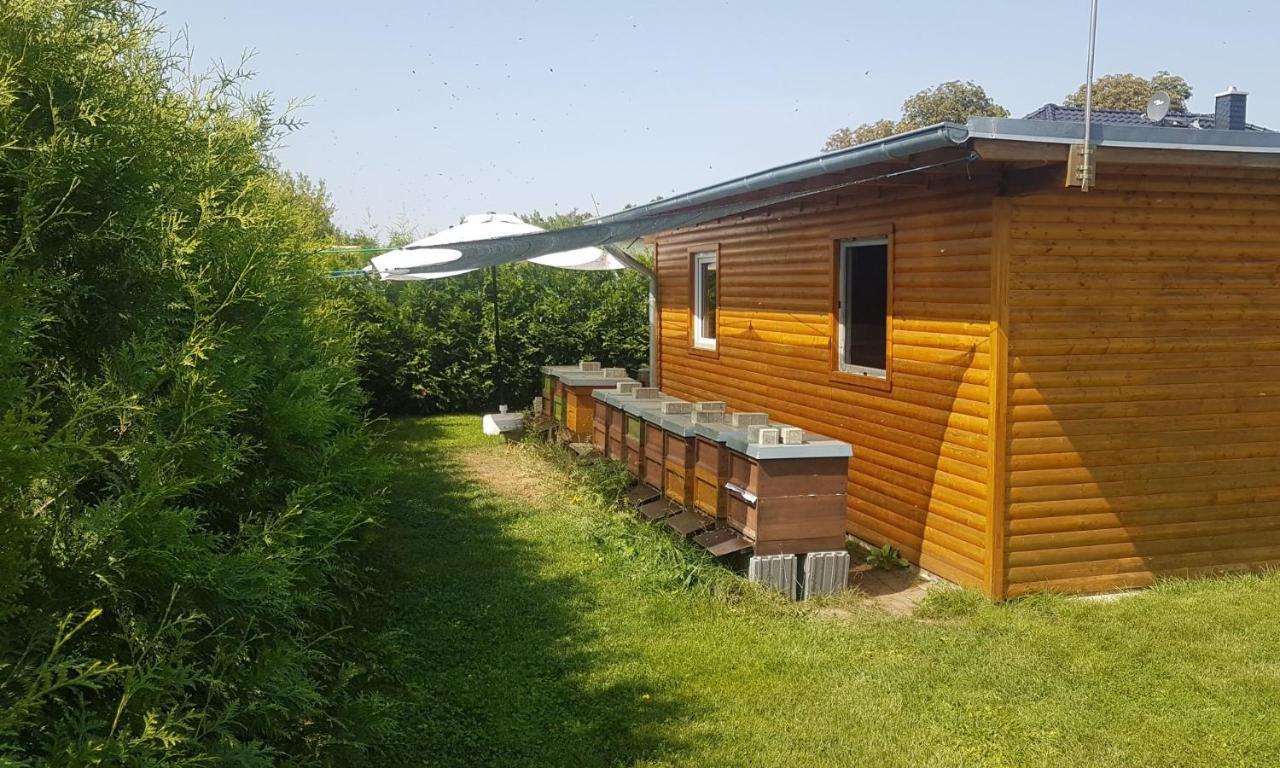 Ferienhaus Zum Imker فيلتين المظهر الخارجي الصورة