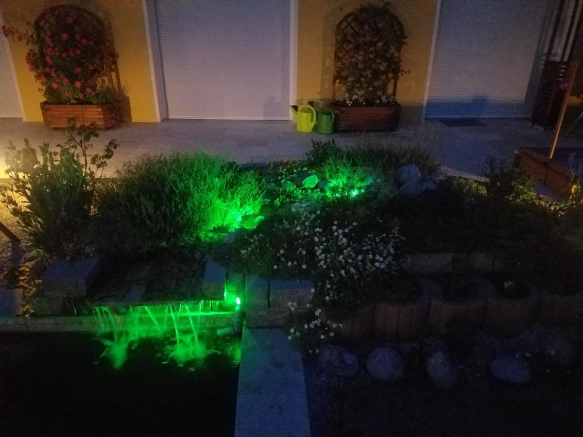 Ferienhaus Zum Imker فيلتين المظهر الخارجي الصورة